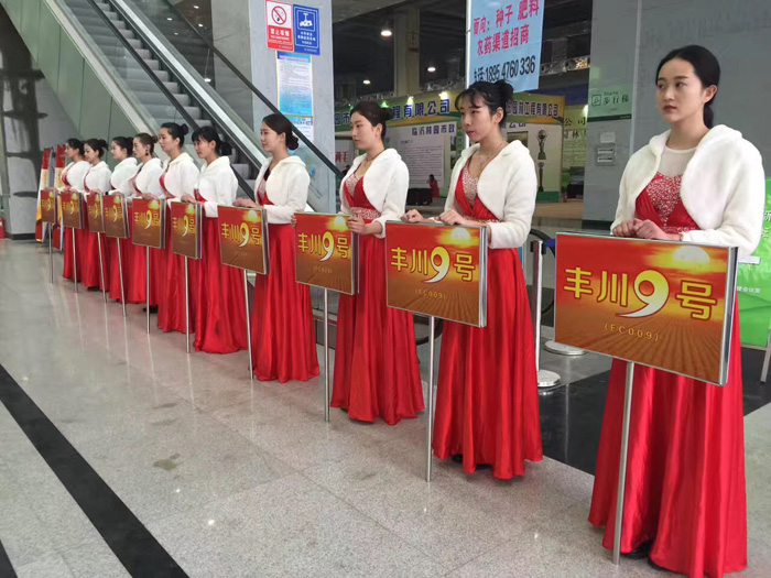 禮儀模特(小姐)主要工作內容是什麽